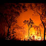 Firestarter