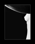 Black and White by AndreyOvr