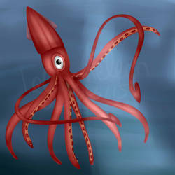Red Squid