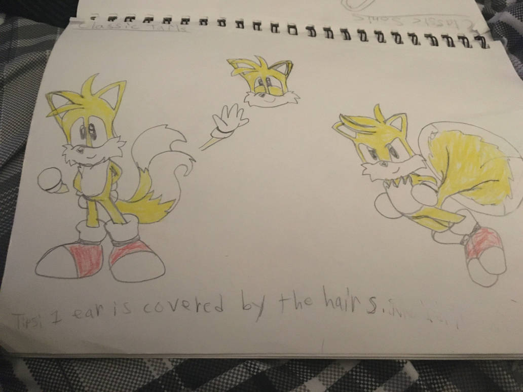 Classic Tails Reference Sheet by 2DSStudios on DeviantArt