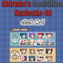 Shiruba's SS Nuzlocke 48 VS. Kanto