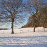 Landscape in Snow