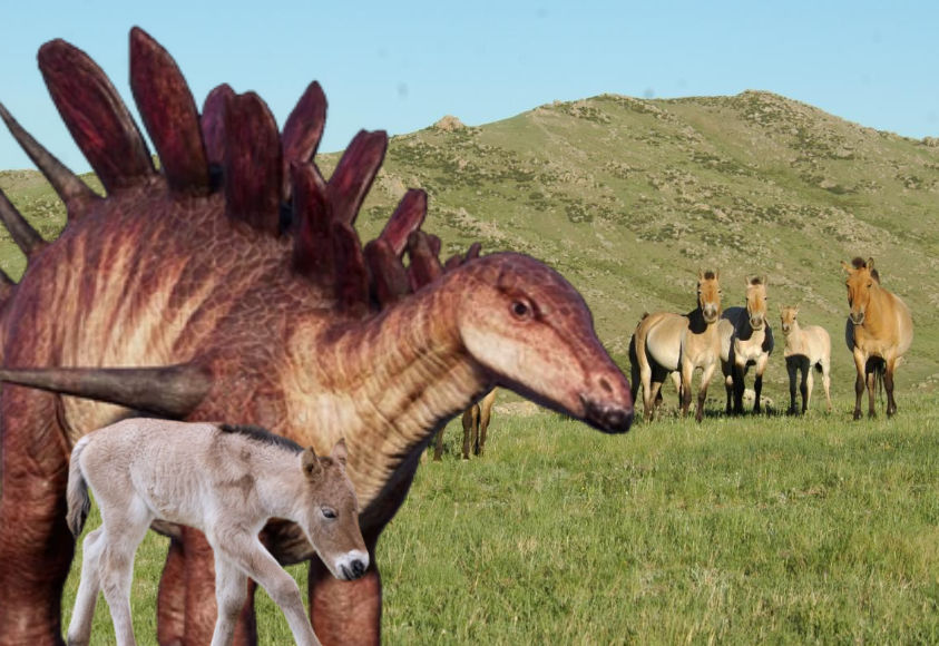 Jw Dinosaur Mammal Adoptive Relationship By Prehistoricnightfury On Jw Dinosaur Mammal Adoptive Relationship By Prehistoricnightfury On