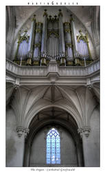 The Cathedrals Organ