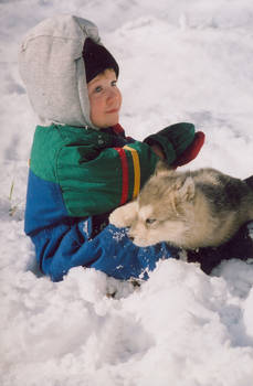 Snow Ball Wolf