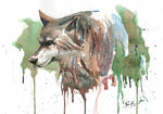 Wolf Watercolor high res by Frabulator