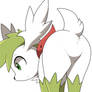 Shaymin