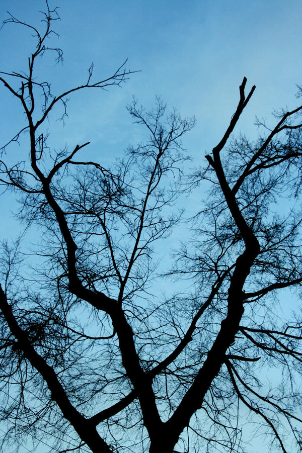 Sharp Silhouette by GreenFaerie13 on DeviantArt