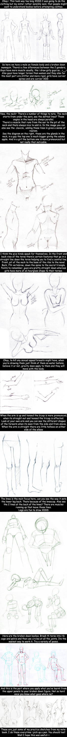 Tutorial: Human Figure