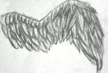 Angel Wing My Style