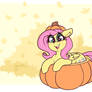 Pumpkin Pony Shy