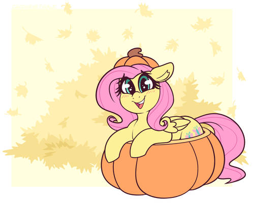 Pumpkin Pony Shy