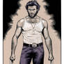 Wolverine Origins