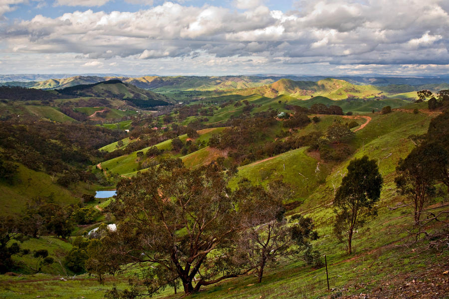 Strathbogie Ranges