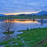 Yarra Flats Flood