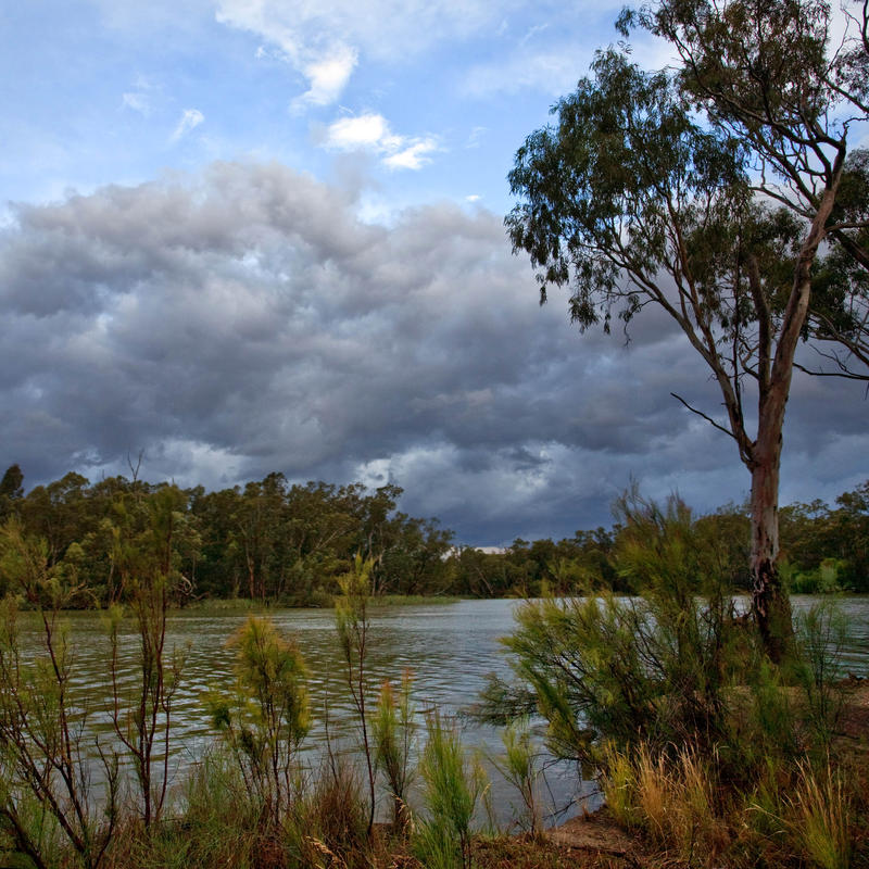 Murray Storm