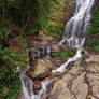 Tristania Falls 2