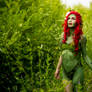 Summer Poison Ivy (Seasons of Ivy Project)