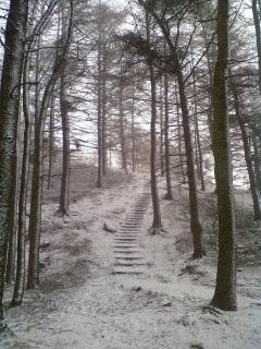 Snowy ascent