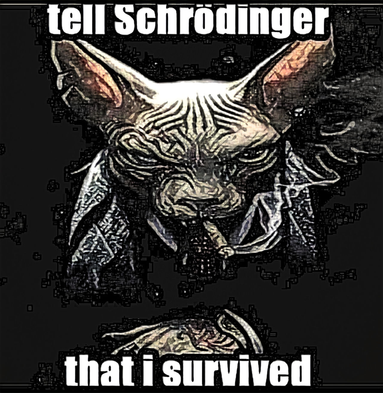 Schrodinger Machine Schrodinger by mtvintageapparel on DeviantArt