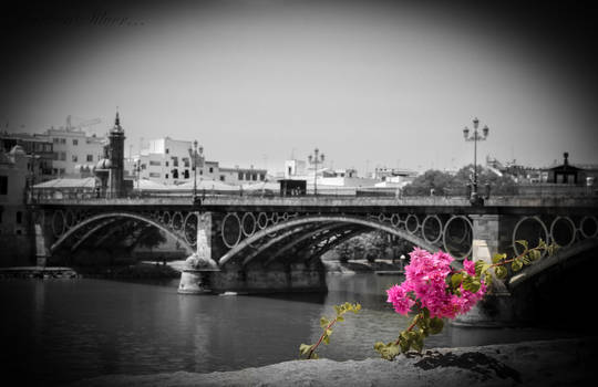 Bridges Of Love...