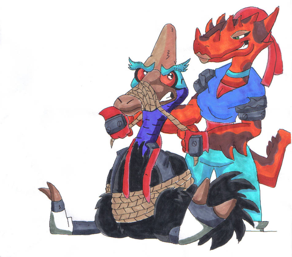 Boss Cass Ty: Fluffy and Boss Cass Color by DragonBoi471 on DeviantArt