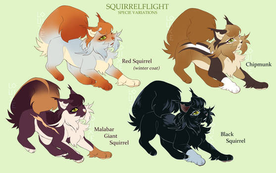 Squirrelflight variations