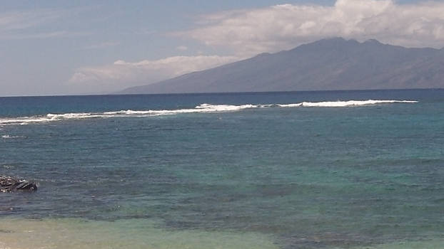 At the (wedding beach)