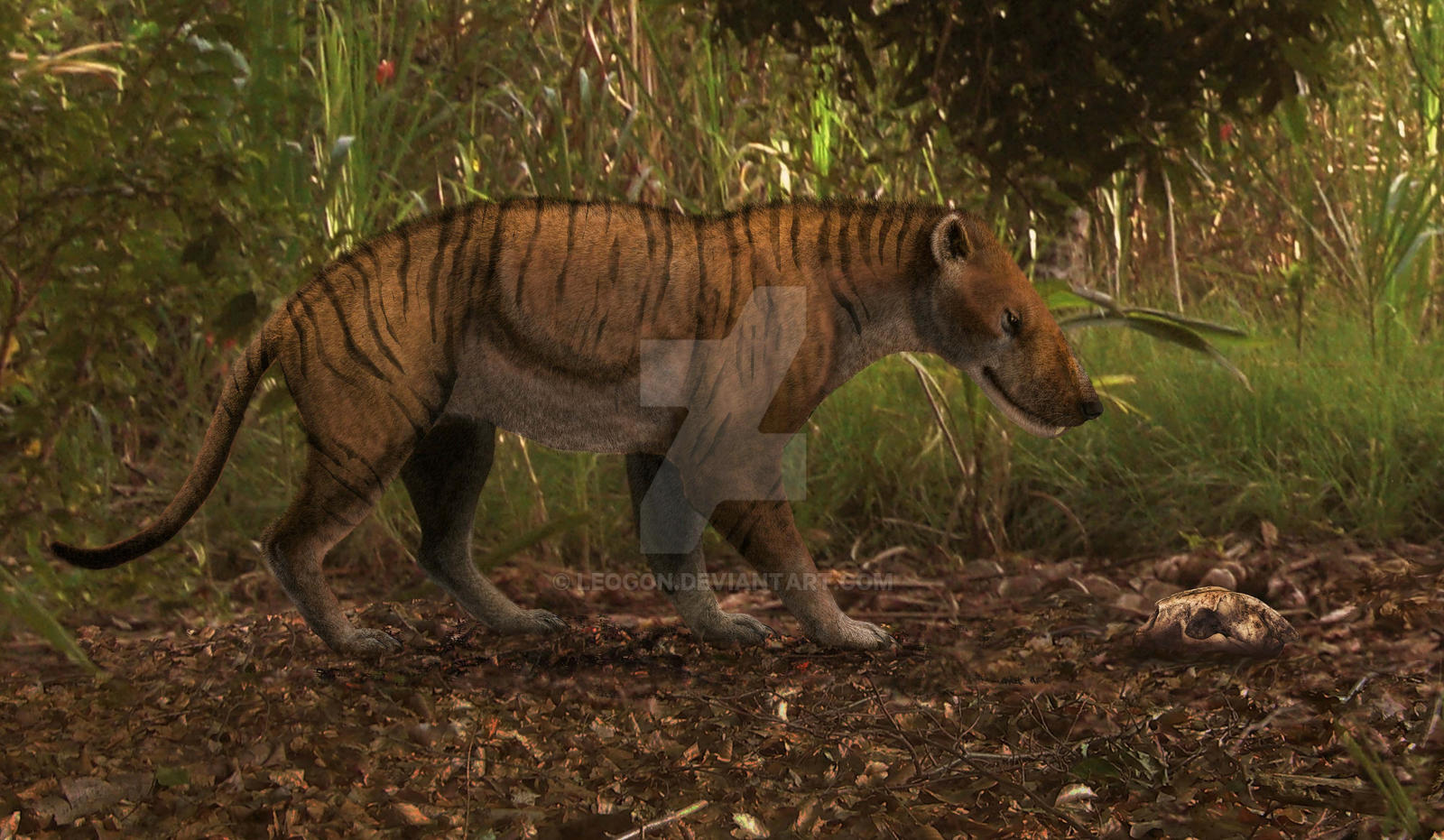 Hyaenodon horridus