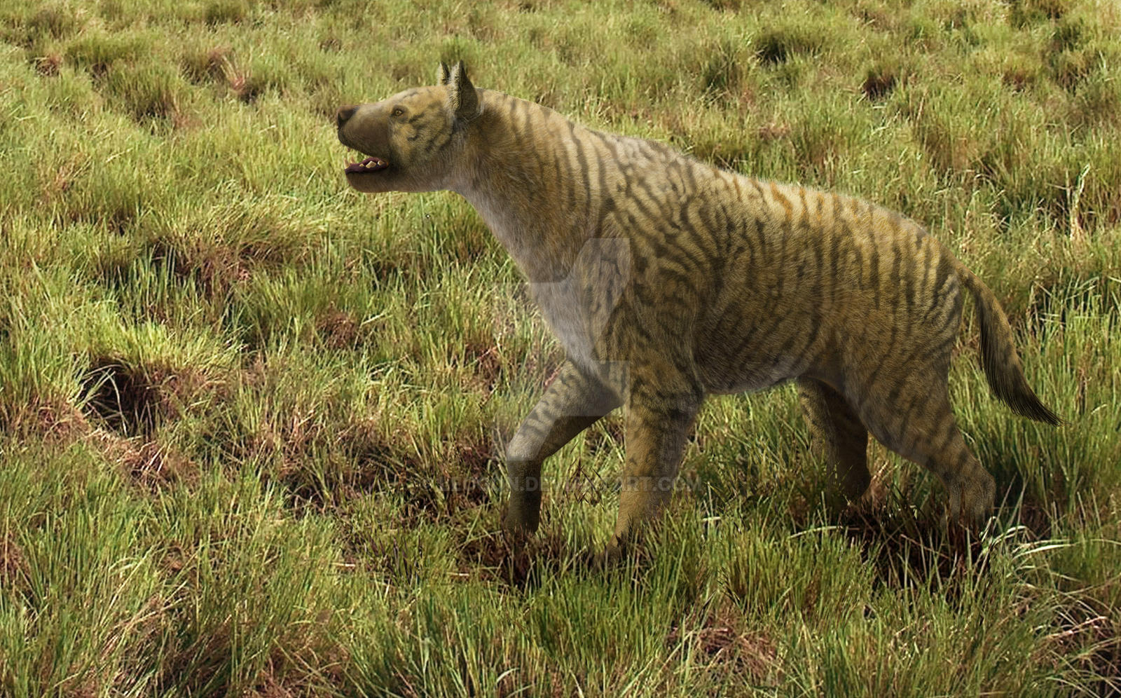 Pachycrocuta brevirostris by Leogon on DeviantArt