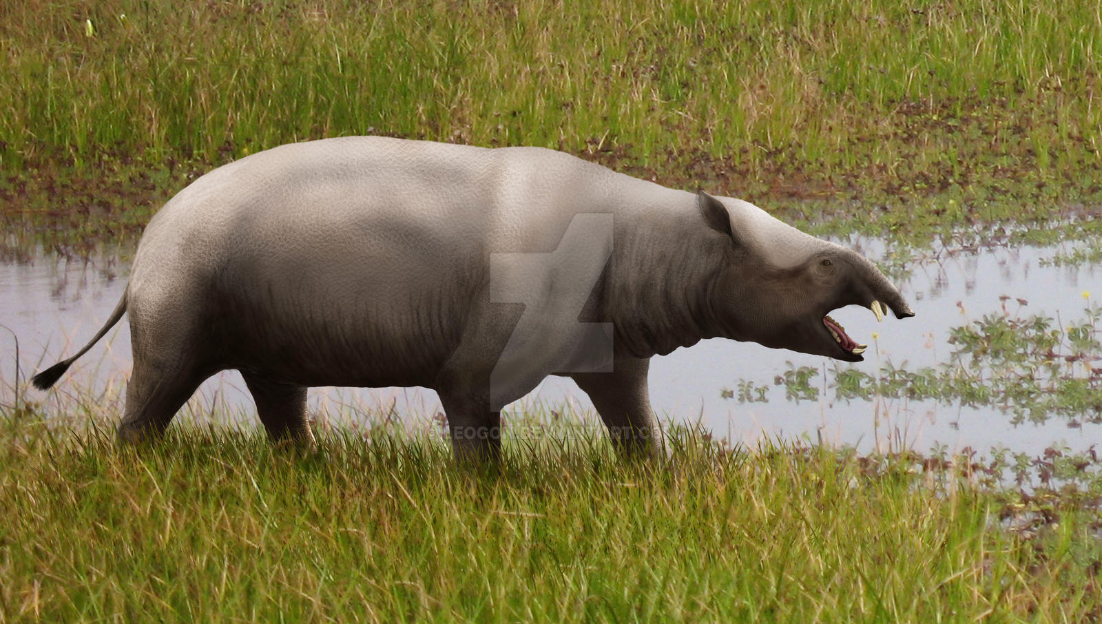 Moeritherium andrewsi