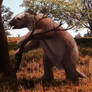 Eremotherium laurillardi