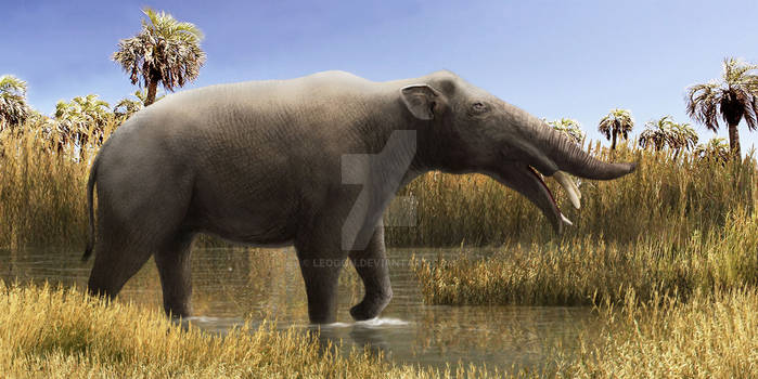 Amebelodon