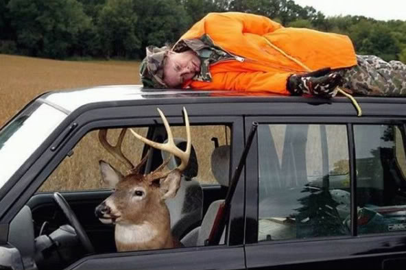 Hunting fail