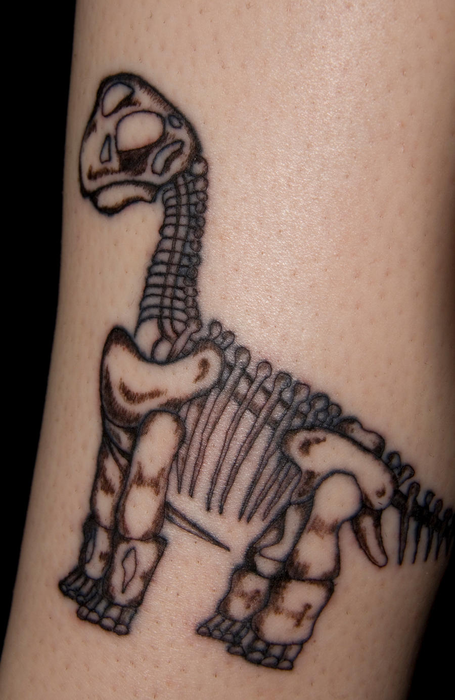 Brachiosaurus skeleton tattoo