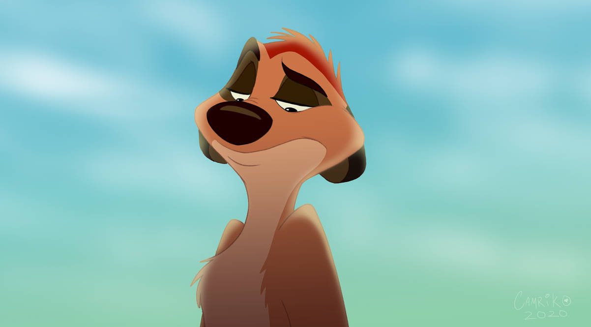 ~Timon Portrait~ by Cammiko on DeviantArt