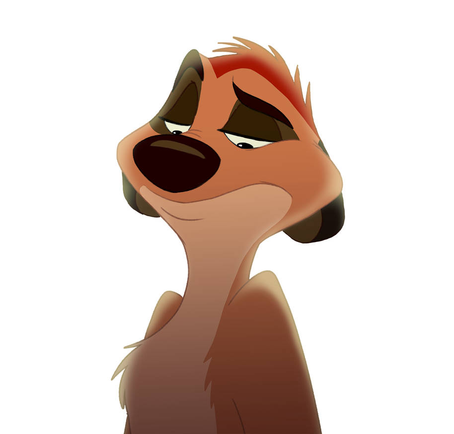 Timon Profiles Custom Character Commissions ~OPEN~ by Cammiko on DeviantArt