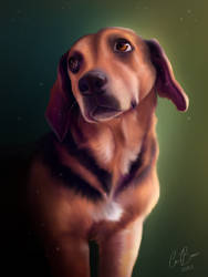 Commission - Dog Memorial Portrait