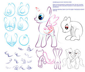 Pony perspective reference