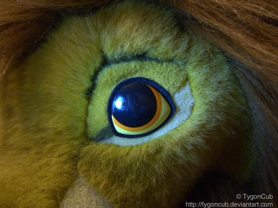 Douglas Simba Eye Repair (Left) by TygonCub on DeviantArt