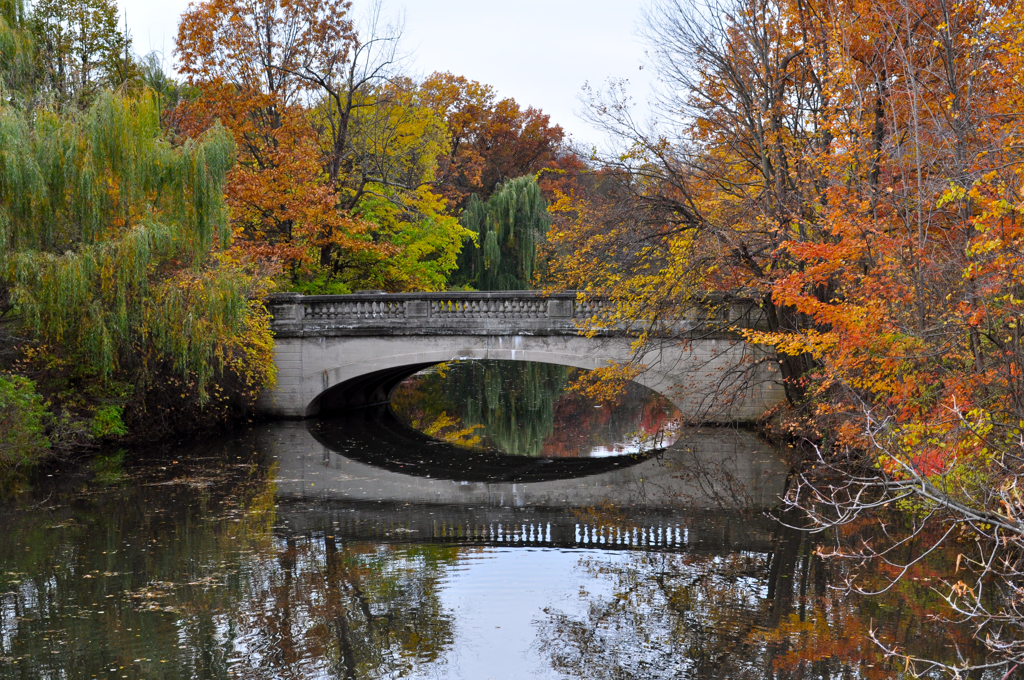 Lonely Bridge