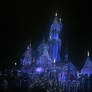 Disney Land Castle at Nighttime