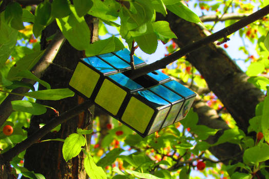 Rubik's Cube in a Tree