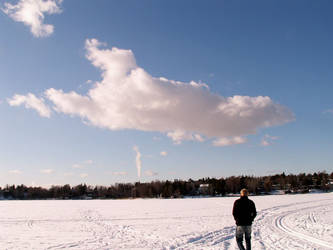 The Frozen Sea