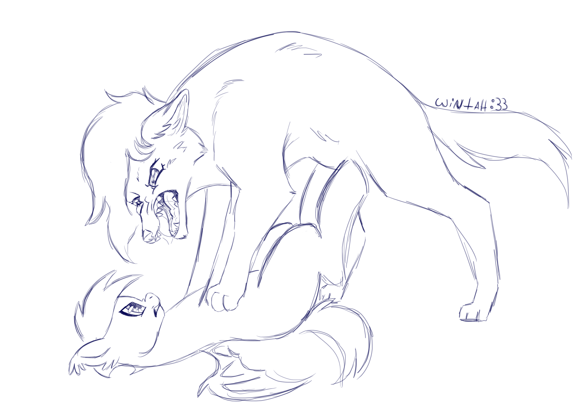 sketch commision