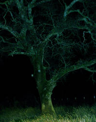 Dark Tree