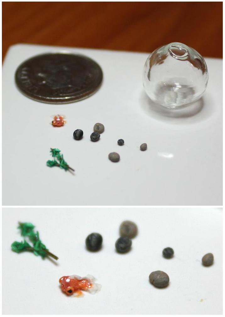 Miniature goldfish and bowl