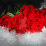 Red roses