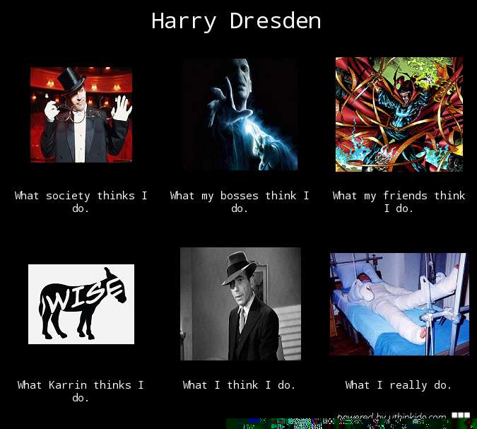 Harry Dresden What You Think