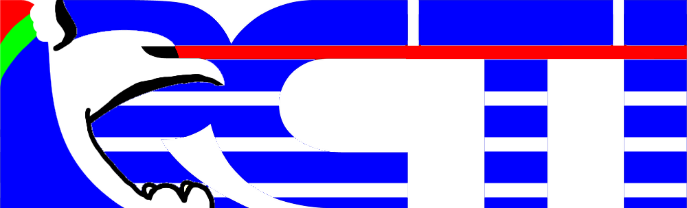 RCTI Logo Combination 2015 X 1993 by idinkip on DeviantArt